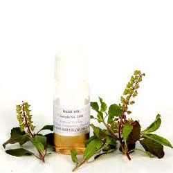 HOLY BASIL OIL