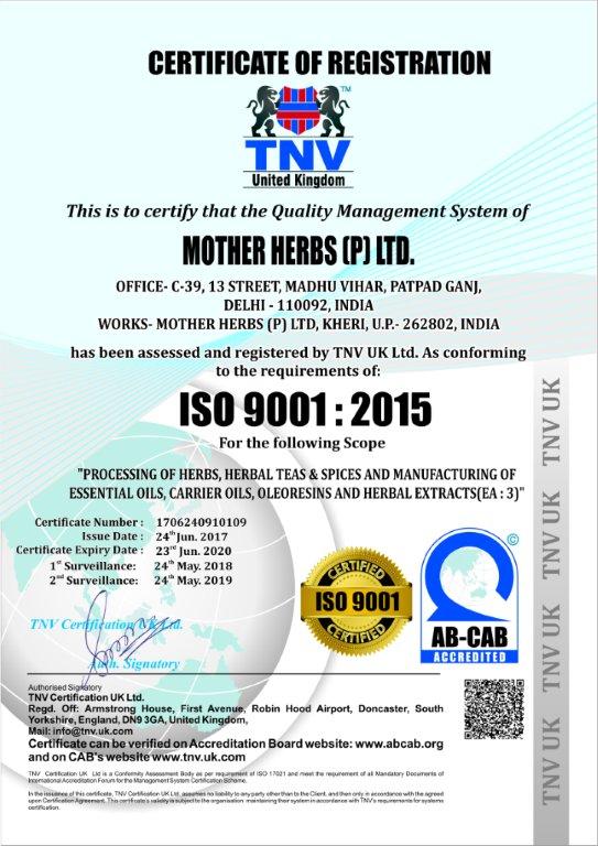 mother herbs22000C