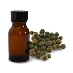 ALLSPICE OIL