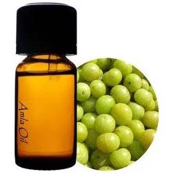 AMLA OIL