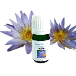 BLUE LOTUS OIL