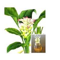 CALAMUS OIL