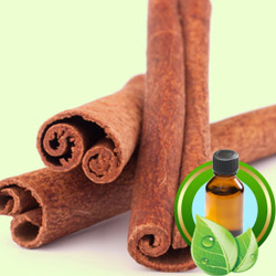 CASSIA OIL