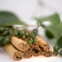 CINNAMON LEAF OIL