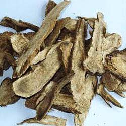 COSTUS ROOT OIL