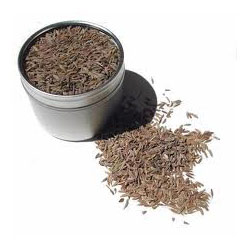 CUMIN OIL