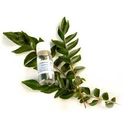 CURRY LEAF OIL