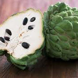 CUSTARD APPLE OIL