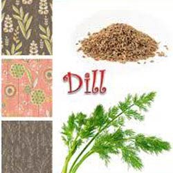 DILL SEED OIL