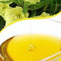 EVENING PRIMROSE OIL