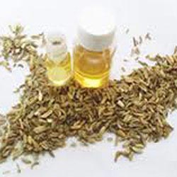 FENNEL OIL