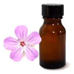 GERANIUM OIL