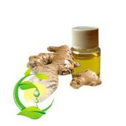 GINGER OIL