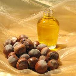 HAZELNUT OIL