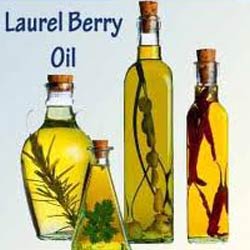 LAUREL BERRY OIL
