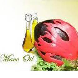 MACE OIL