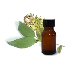 MYRTLE OIL