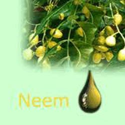 NEEM OIL