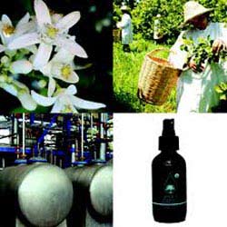 NEROLI FLORAL WATER