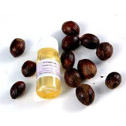 NUTMEG OIL