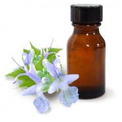 PATCHOULI OIL