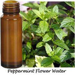 PEPPERMINT FLORAL WATER