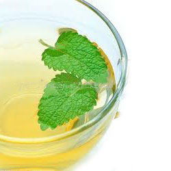 PEPPERMINT OIL