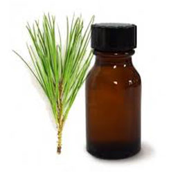 PINE OIL