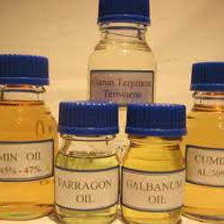 TARRAGON OIL